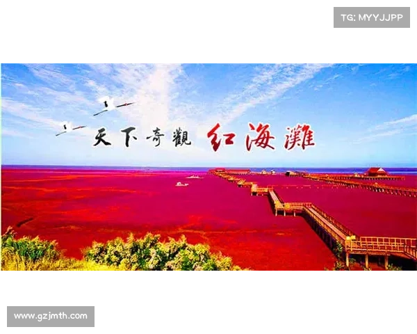 探索鹤观岛的奇妙风光与自然奇观之旅指南 探索鹤观岛的奇妙风光与自然奇观之旅指南