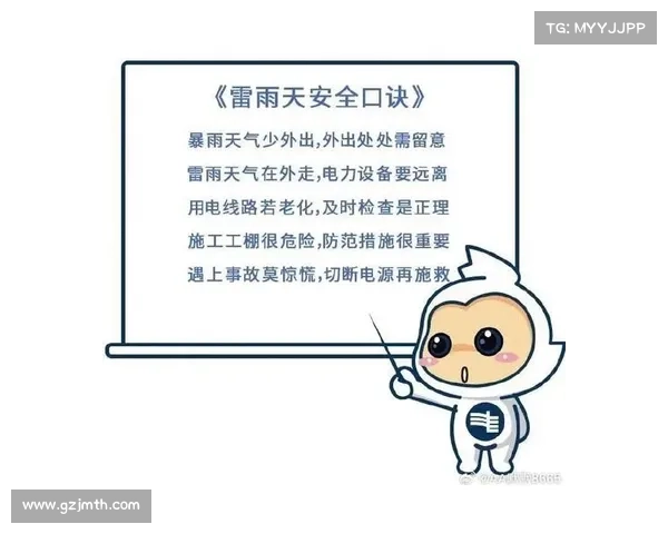 突发雷电天气安全防护与科学应对全方位实用指南 突发雷电天气安全防护与科学应对全方位实用指南