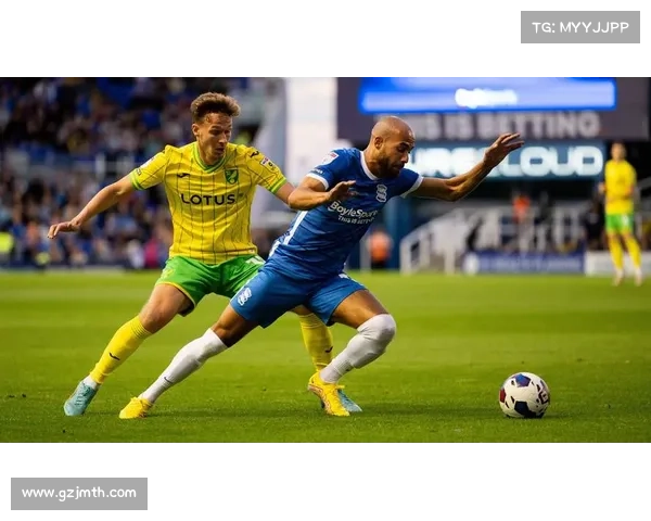 如何区分英冠赛事中的真实比赛与虚假比赛及其鉴别方法